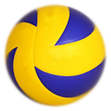 VolleyLife.pl icon