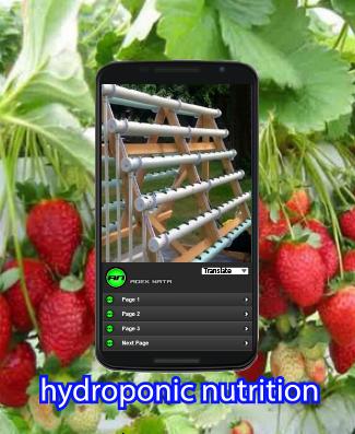 Organic Hydroponics Nutrients