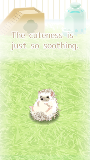 Hedgehog Pet  screenshots 3