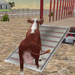 Cover Image of Download Farm Animals Transporter Truck  APK