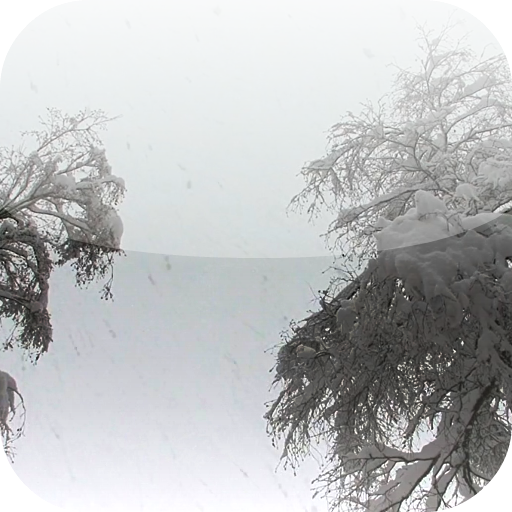 Snow 3D Video Live Wallpaper