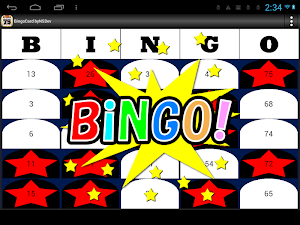 BingoCard byNSDev screenshot 5