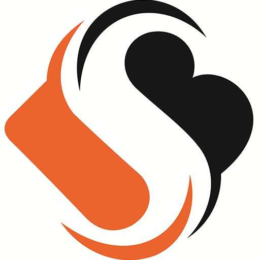 Sontek Bilişim logo