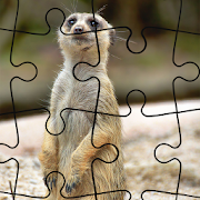 Jigsaw Puzzle  Icon