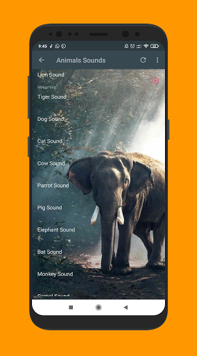 Nature  Animal Sounds MP3