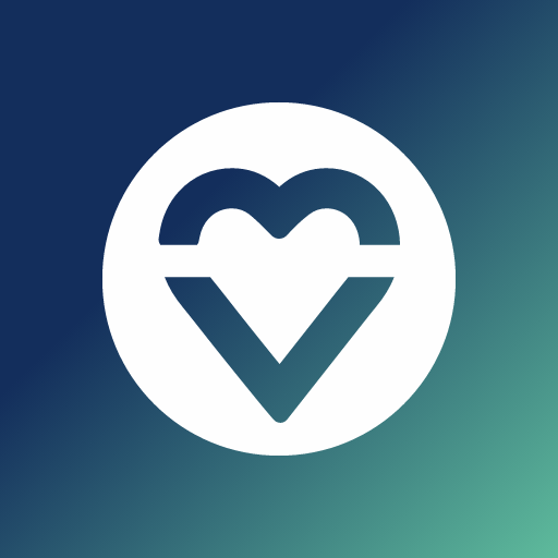 visomat blood pressure diary