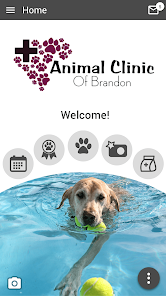 Animal Clinic of Brandon 300000.2.60 APK + Modificación (Unlimited money) para Android