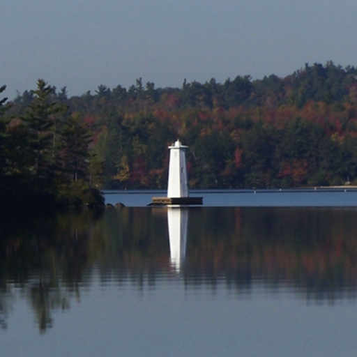 Lake Observer logo