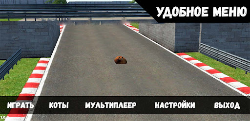 Pablo Cat Race Game Screen 3