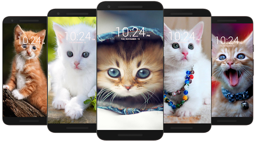Kitten & Cute Cat Wallpaper HD  screenshots 12