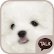 하얀 강아지 (마르티스) 카톡테마 - Androidアプリ