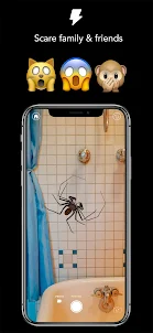 AR Spiders &amp; Co: Scare friends