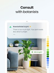 Plant App - Plant Identifier