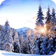 Winter Paradise 4K Live Wallpaper