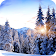 Winter Paradise 4K Live Wallpaper icon