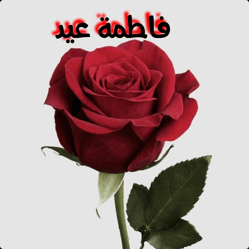 فاطمة عيد افراح logo