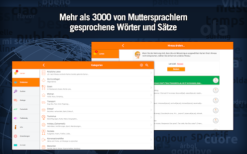Russisch lernen mit MosaLingua Capture d'écran