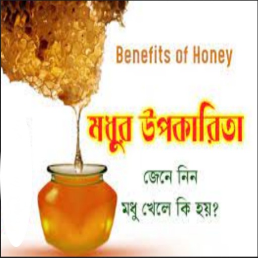 মধু খাওয়ার উপকারিতা logo