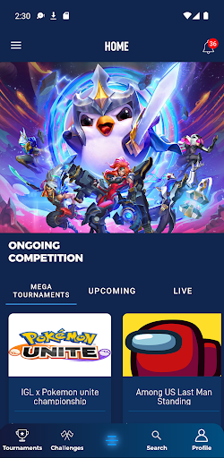 Screenshot of IGL - Indian Gaming League