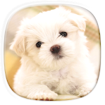 Cover Image of Download Cute Puppy Wallpapers 1.0.1 APK