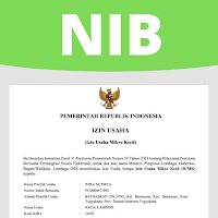 Cara Daftar NIB online