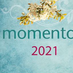 图标图片“momento 2021”