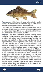 Fishing - Guide for anglers