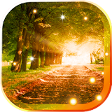 Sunset Forest HD LWP icon