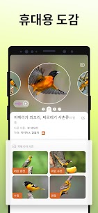 Picture Bird – 조류 식별 (프리미엄) 2.9.25 4