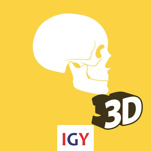 Anatomy 3D  Icon