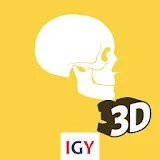 Anatomy 3D icon