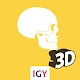 Anatomy 3D Download on Windows