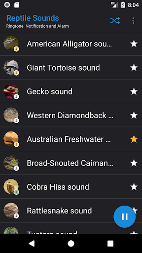 Reptile Sounds Screen 2