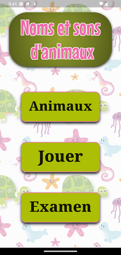 Aperçu de l'application
