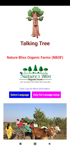 Talking Tree (NBOF) Screen 3