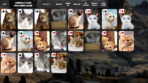 Animals Card Matching Game