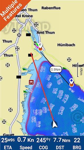 Lake Thun - Brienz GPS Charts Screen 3