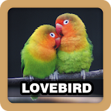 Lovebird Sound Ringtone icon