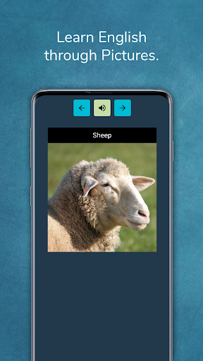 Phrasebook Learn Languages Screen 2
