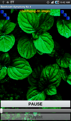 Beethovens 4th Symphony