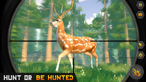 Wild Dinosaur Hunter Games