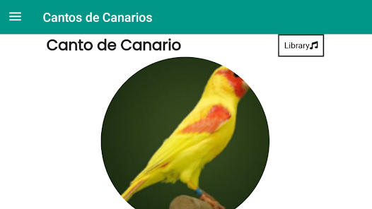 Imágen 16 Canto de Canario Criollo Basto android