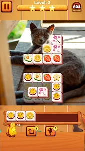 Cat match puzzle: block puzzle