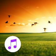 Nature Sounds Relax Sleep Pro  Icon