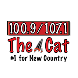 The Cat Albany: Download & Review