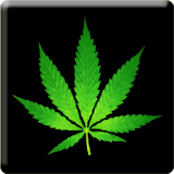 3D Marijuana live wallpaper icon