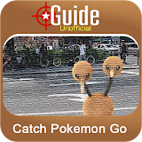 Catch Pokemon Go icon