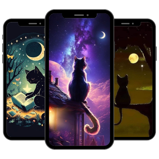 Aesthetic Cool Cat Wallpaper