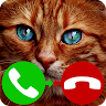 download fake call cat game apk