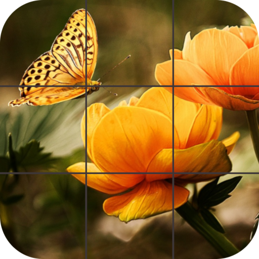 Butterfly Jigsaw Puzzles logo